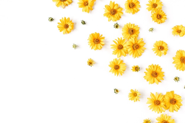 Composição floral com botões de flores de margarida amarela em branco