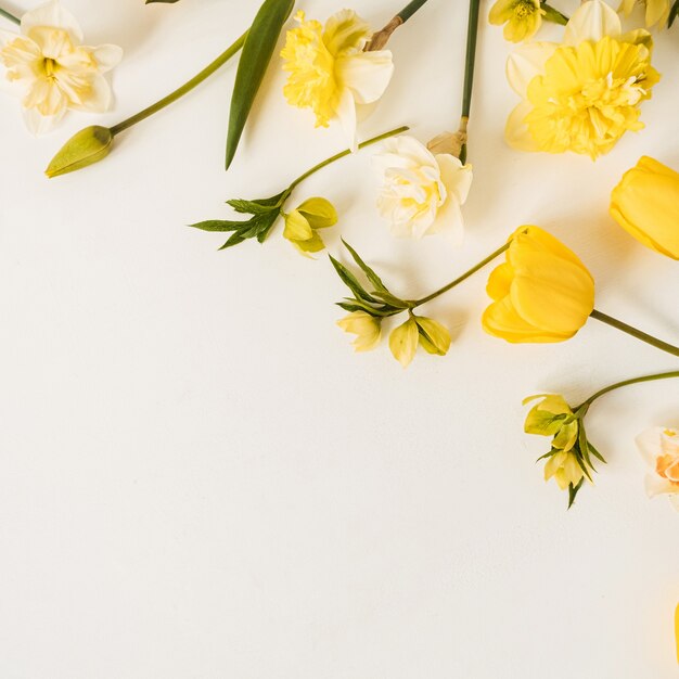 Composição floral com tulipas e flores de narciso em branco