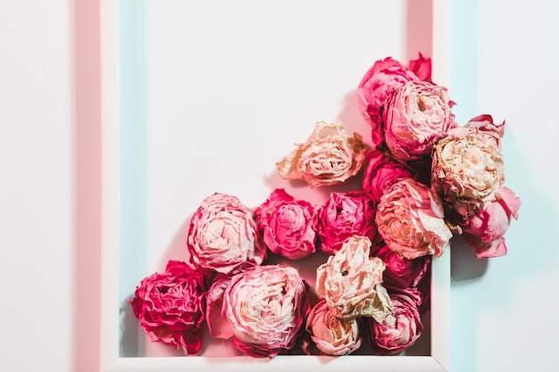 Foto composição floral conceito de floricultura arranjo de rosas secas sortidas em fundo branco