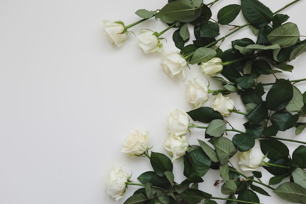 Composição floral elegante com rosas brancas e espaço para texto em fundo branco