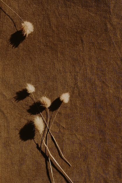 Composição floral neutra com ramo de flor seca em marrom escuro