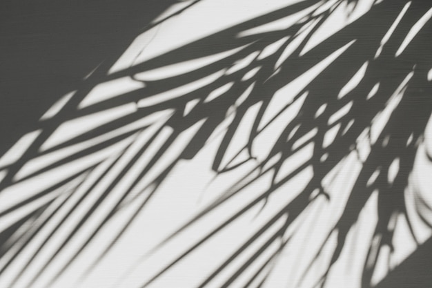 Composição floral neutra com silhueta de ramo de palmeira tropical
