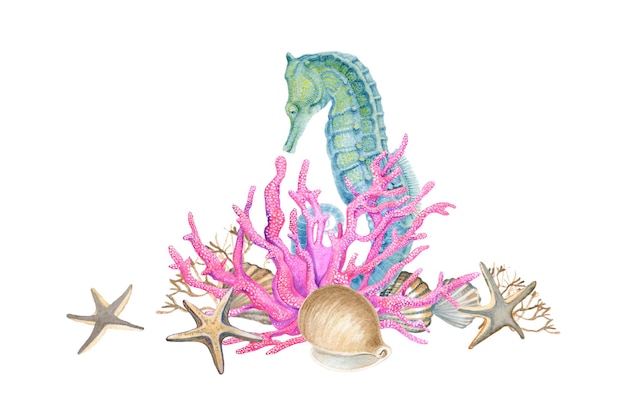 Foto composição marinha de estrelas do mar de conchas de corais e ilustração em aquarela de cavalos-marinhos