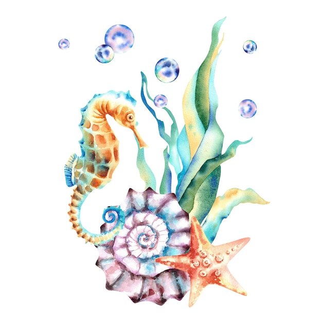 Composição marinha Seahorse algas estrelas do mar e bolhas Ilustração em aquarela Habitantes subaquáticos