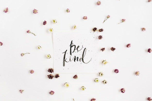 Composição minimalista com palavras Be Kind escritas em estilo caligráfico em papel com botões de flores silvestres na superfície branca