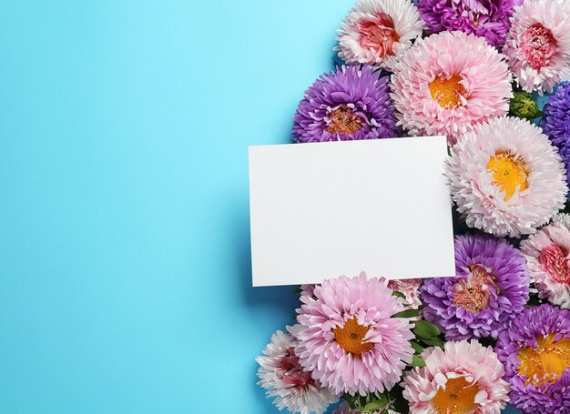 Foto composição plana com belas flores de aster e cartão em branco fundo rosa