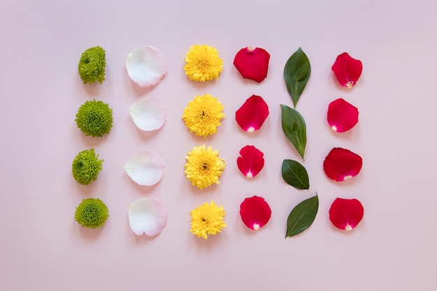 Foto composição plana de lindas flores