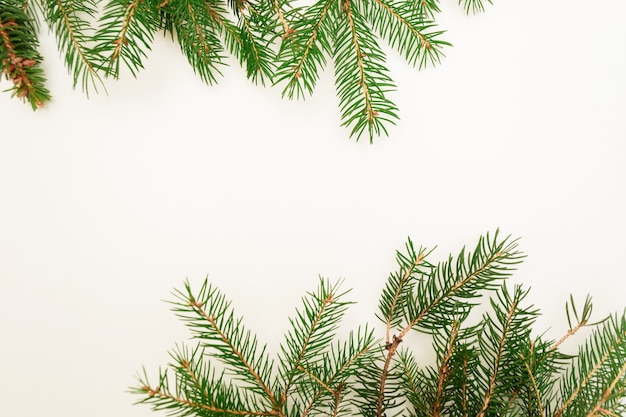 Composição plana de natal de ramos de abeto, com espaço de cópia para o texto.