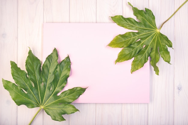 Composição plana leiga com placa rosa e folhas verdes na mesa de madeira branca