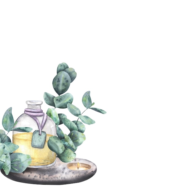 Composición con aceites aromáticos ramitas de eucalipto vela Ilustración acuarela