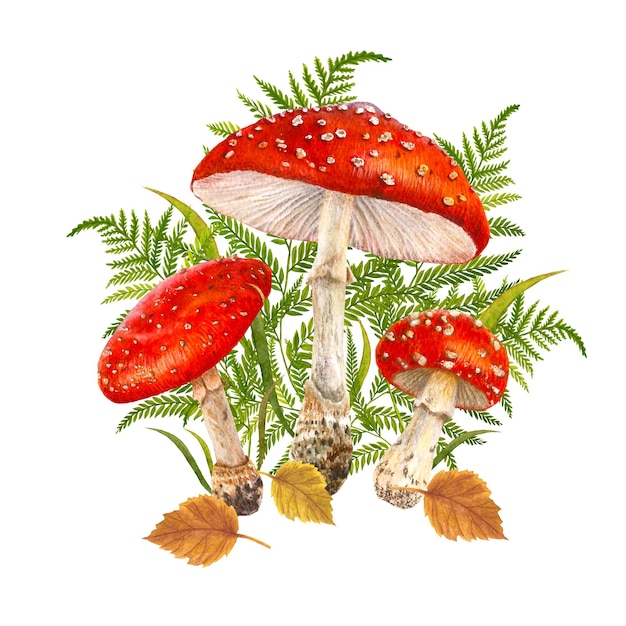 Composición de acuarela de setas y hojas
