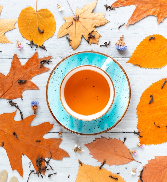 Composición bodegón de una taza con té de hojas calientes con bayas y hojas de otoño sobre una superficie de madera