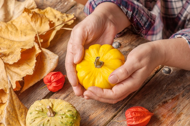 Composición de bricolaje con calabazas