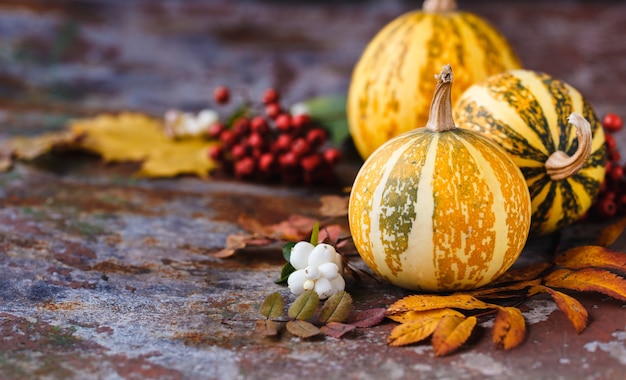 Composición de calabazas decorativas y hojas de otoño sobre el óxido, horizontal