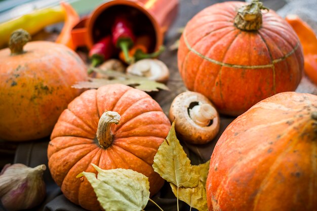 La composición de las calabazas. Verduras de otoño. Víspera de Todos los Santos