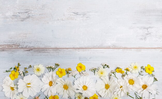 Composición cosmea blanca, cosmos en tableros azules. Flores amarillas sobre fondo de mesa de madera hecha a mano. Telón de fondo con espacio de copia, endecha plana, vista superior. Concepto de día de la boda de la madre, San Valentín, mujeres.