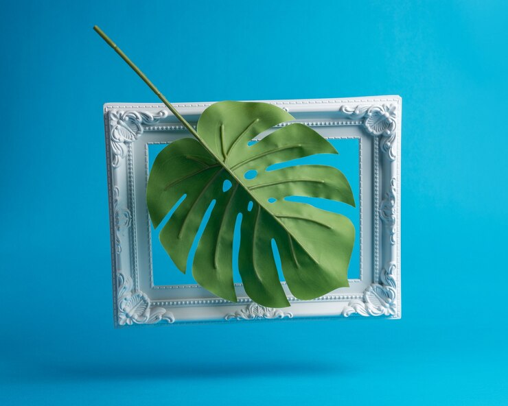 Foto composición creativa de hoja de palma con marco vintage.