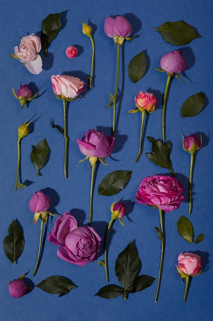 Composición creativa de rosas