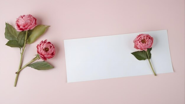 Composición con delicadas flores de rosa y papel en blanco sobre un fondo rosa pastel