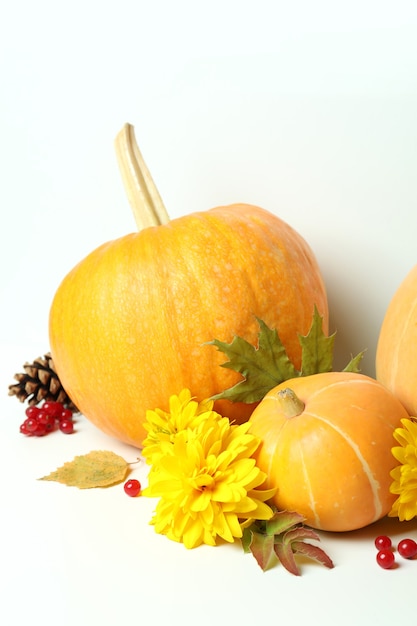 Composición del día de acción de gracias con calabazas en mesa blanca