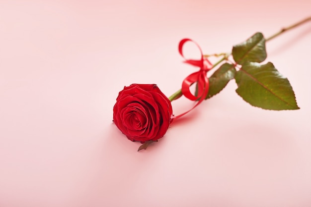 Foto composición del día de san valentín con flores rosas rojas