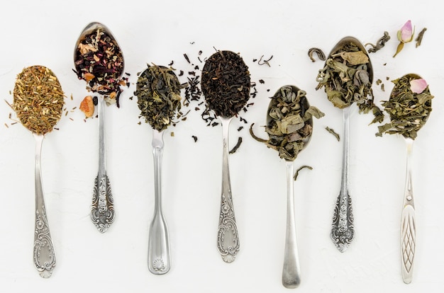 Composición de diferentes hojas de té