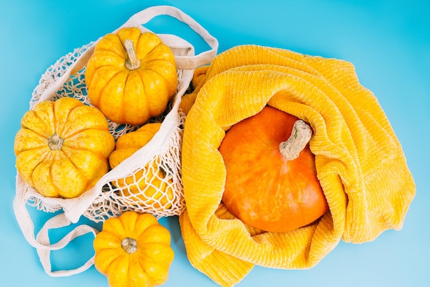 Composición de diferentes variedades de calabazasfeliz día de acción de graciascalabazas de halloweencomida de otoño vegetal c