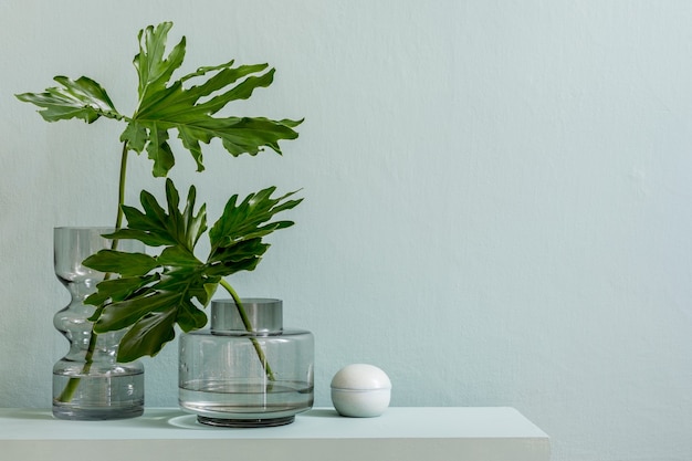 Composición elegante del interior de la sala de estar con pared verde, hojas verdes en florero de vidrio en el inodoro escandinavo de madera. Concepto minimalista. Copie el espacio.