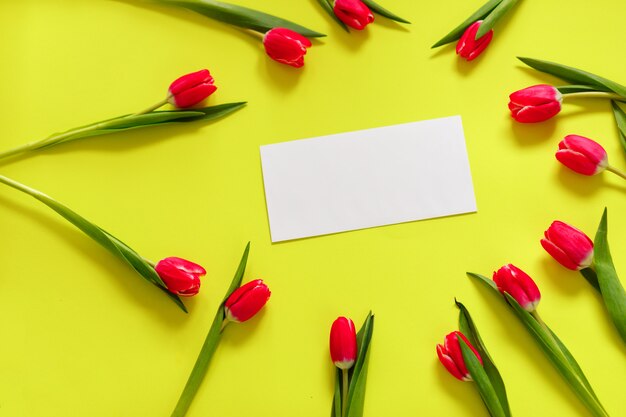 Composición encantadora de flores de tulipán con papel en blanco