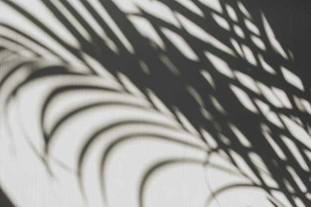 Composición floral neutra con silueta de rama de palmera tropical