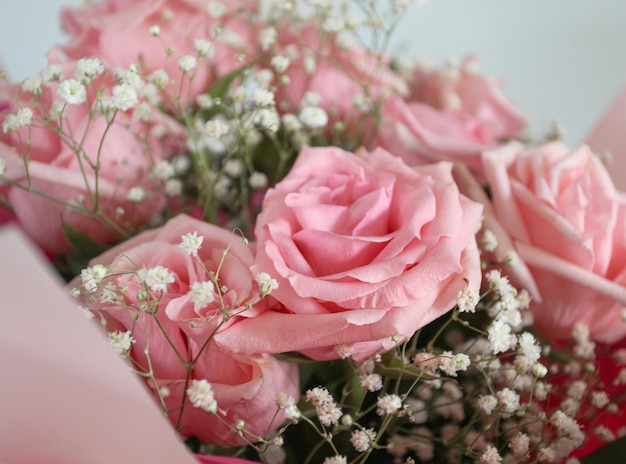 Composición floral con rosa rosa y gypsophila blanca. Tarjeta de felicitación para cumpleaños o día de la mujer.