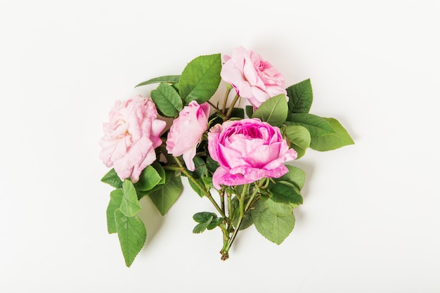 Composición floral con rosas rosadas sobre blanco