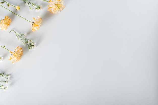 Foto composición de flores de crisantemo y cortador patrón y marco hecho de varias flores amarillas o naranjas y hojas verdes sobre fondo blanco vista superior plana copia espacio primavera verano concepto