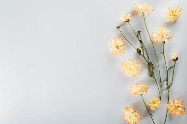 Foto composición de flores de crisantemo y cortador patrón y marco hecho de varias flores amarillas o naranjas y hojas verdes sobre fondo blanco vista superior plana copia espacio primavera verano concepto