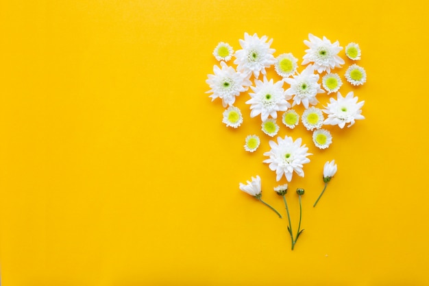 Composición de flores, crisantemos sobre fondo de papel amarillo.