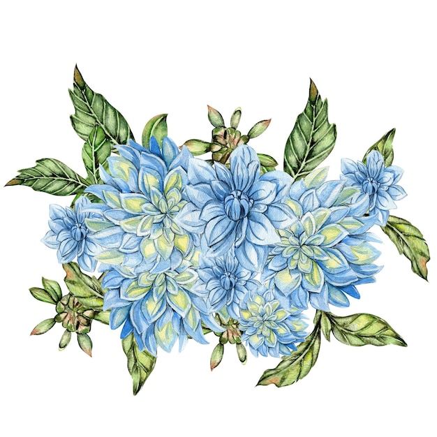 Composición de las flores de la dahlia en acuarela