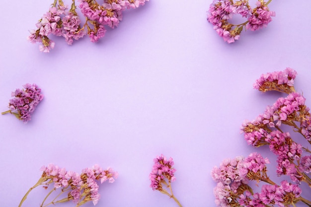 Composición de flores. Flores de Gypsophila. Endecha plana, vista superior, espacio de copia. Primavera