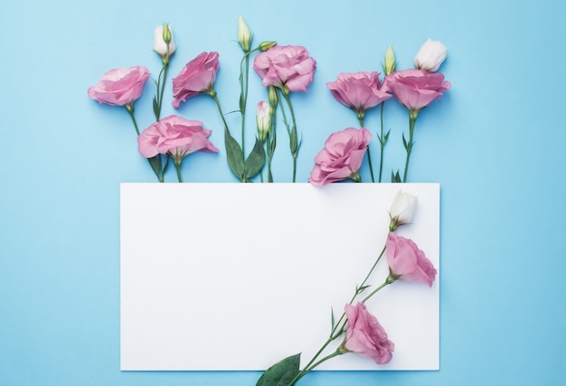 Composición de flores. Guirnalda de flores rosas con tarjeta de papel blanco sobre fondo azul.