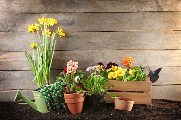 Composición con flores y herramientas de jardinería en mesa de madera