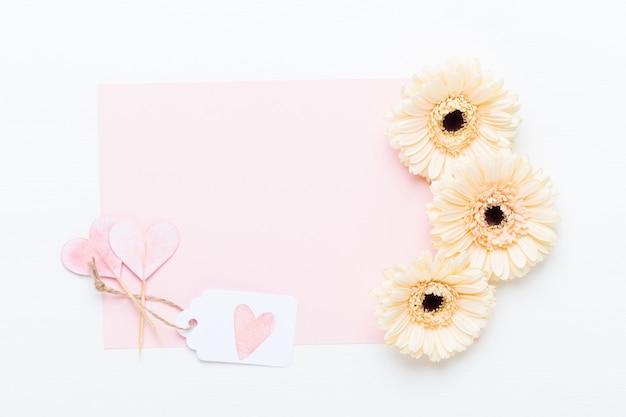 Foto composición de flores. marco de gerbera pastel sobre blanco.