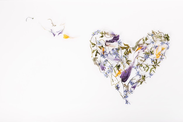 Composición de flores Marco hecho de flores secas en forma de corazón sobre fondo blanco Vista superior plana Espacio de copia Cumpleaños Día de San Valentín de la madre Concepto de día de la mujer