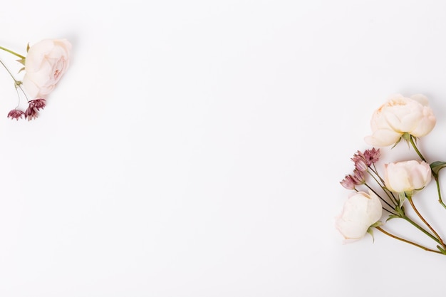 Composición de flores de otoño. Marco de rosa rosa, flores de hortensias sobre fondo gris blanco. Endecha plana