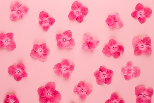 Composición de flores. patrón de fondo de flores rosadas. endecha plana, vista superior, espacio de copia.