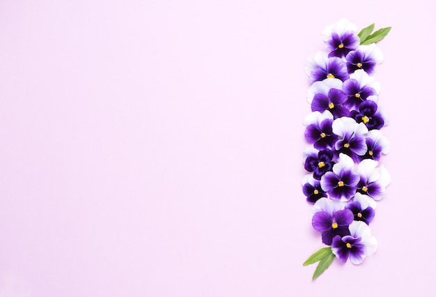 Foto composición de flores de primavera o verano con pensamiento sobre fondo lila. bandera de flores festivas. endecha plana, copie el espacio.