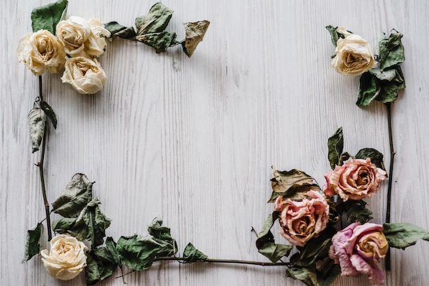 Composición flores rosas secas sobre un fondo blanco de madera Espacio de copia Marco Lugar para texto y diseño Tarjeta de felicitación Vista superior plana