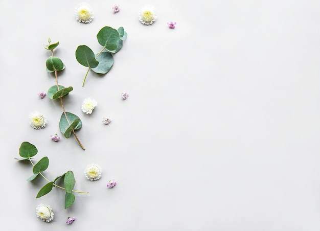 Composición de flores sobre fondo blanco.