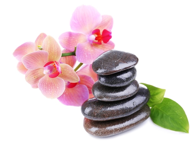 Composición con hermosa orquídea floreciente con gotas de agua y piedras de spa aisladas en blanco