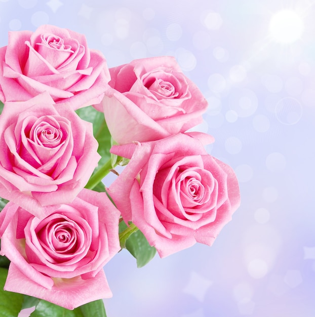 Composición con hermoso ramo de rosas rosadas