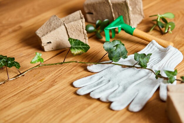 Composición de herramientas de jardinería en superficie de madera