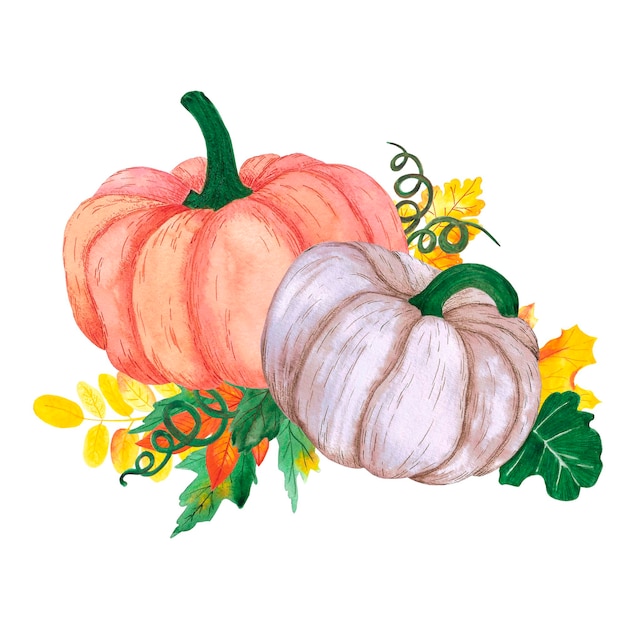 Composición de hojas de calabaza de acuarela dibujada a mano en blanco Banner de etiqueta de cartel de Scrapbook de Acción de Gracias